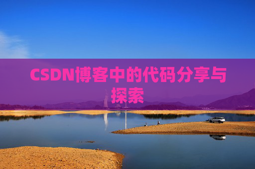 CSDN博客中的代码分享与探索